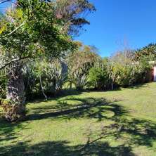 Jardín con mucha vegetación